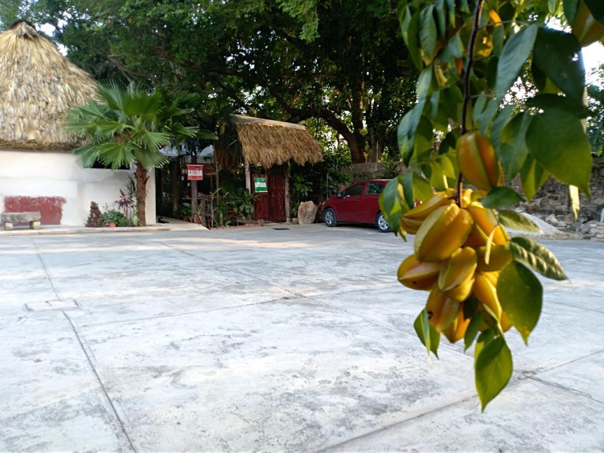 Posada El Jardin Ticul Ngoại thất bức ảnh