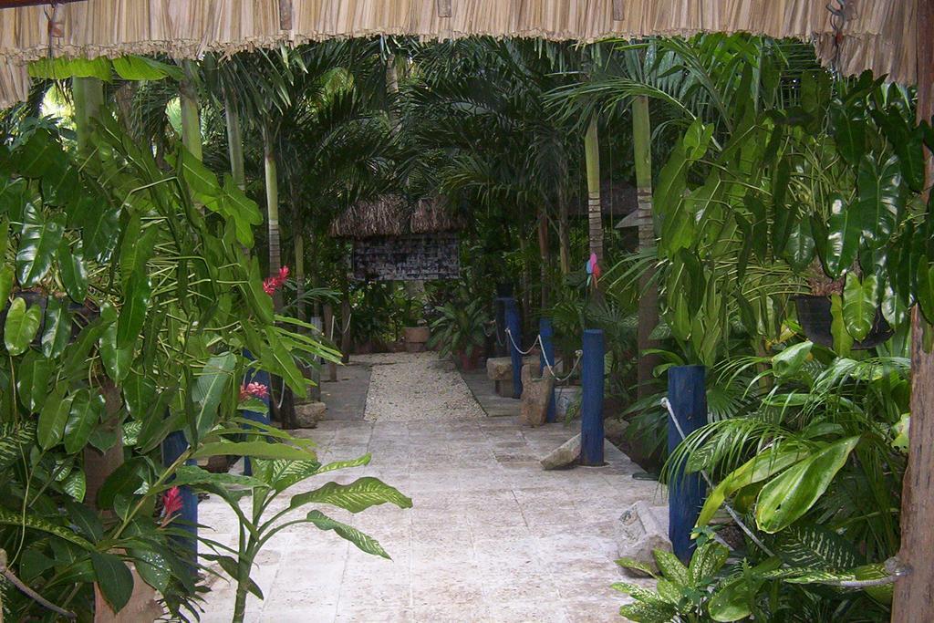 Posada El Jardin Ticul Ngoại thất bức ảnh