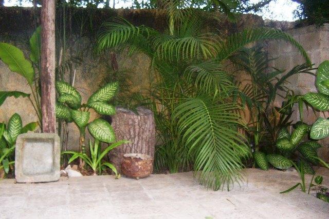 Posada El Jardin Ticul Ngoại thất bức ảnh