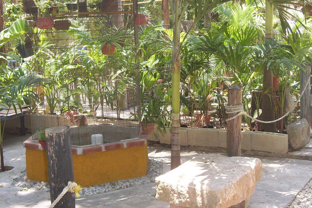 Posada El Jardin Ticul Ngoại thất bức ảnh