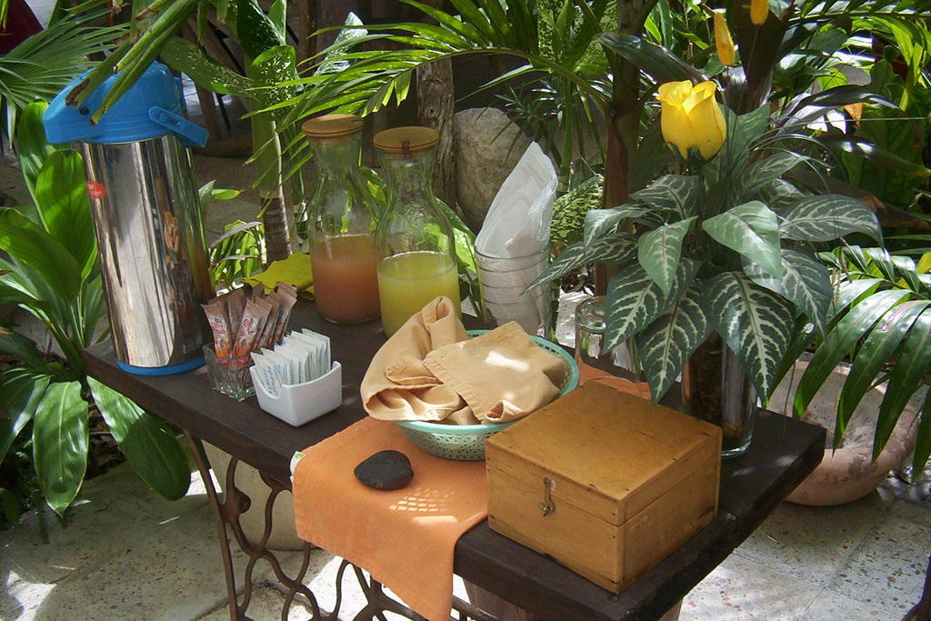Posada El Jardin Ticul Ngoại thất bức ảnh